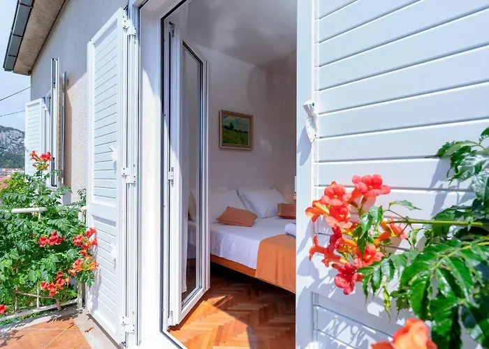 Rinada - Zf Hvar *
