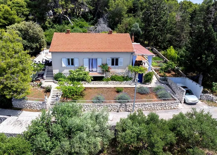 Rinada - Zf Hvar *